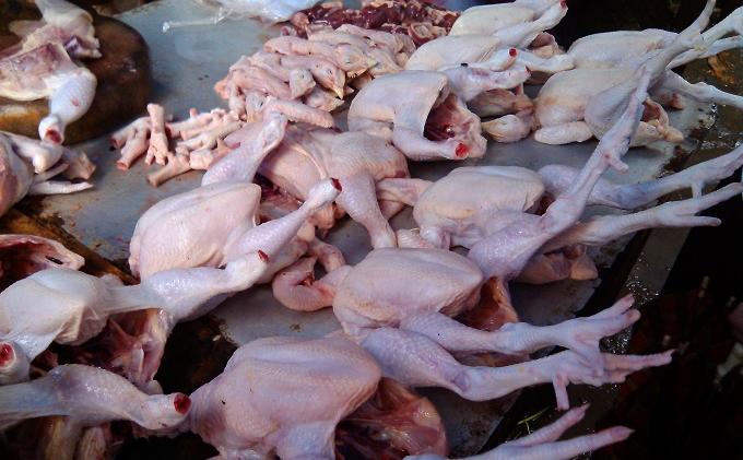 Sejak Imlek Harga Ayam Potong Tak Kunjung Turun
